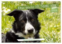 Das coole Hunde ABC (Wandkalender 2024 DIN A4 quer), CALVENDO Monatskalender von Löwer,  Sabine