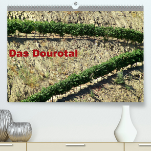 Das Dourotal (Premium, hochwertiger DIN A2 Wandkalender 2020, Kunstdruck in Hochglanz) von Atlantismedia