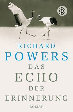 Das Echo der Erinnerung von Allie,  Manfred, Kempf-Allié,  Gabriele, Powers,  Richard