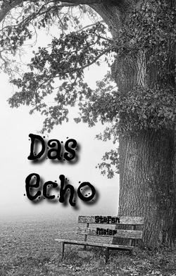 Das Echo von Meier,  Stefan