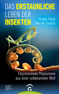 Das erstaunliche Leben der Insekten von Gnatzy,  Werner, Tautz,  Jürgen