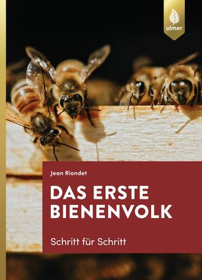 Das erste Bienenvolk – Schritt für Schritt von Riondet,  Jean