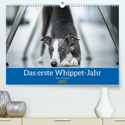 Das erste Whippet-Jahr (Premium, hochwertiger DIN A2 Wandkalender 2023, Kunstdruck in Hochglanz) von Kassat Fotografie,  Nicola