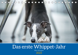 Das erste Whippet-Jahr (Tischkalender 2023 DIN A5 quer) von Kassat Fotografie,  Nicola