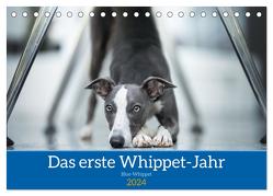Das erste Whippet-Jahr (Tischkalender 2024 DIN A5 quer), CALVENDO Monatskalender von Kassat Fotografie,  Nicola