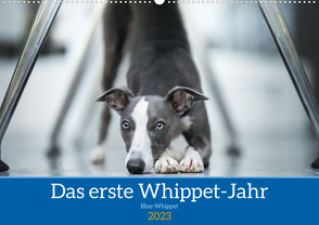 Das erste Whippet-Jahr (Wandkalender 2023 DIN A2 quer) von Kassat Fotografie,  Nicola