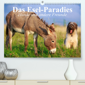 Das Esel-Paradies – Hunde und andere Feunde (Premium, hochwertiger DIN A2 Wandkalender 2023, Kunstdruck in Hochglanz) von Stanzer,  Elisabeth