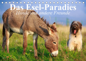 Das Esel-Paradies – Hunde und andere Feunde (Tischkalender 2023 DIN A5 quer) von Stanzer,  Elisabeth