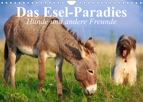 Das Esel-Paradies – Hunde und andere Feunde (Wandkalender 2023 DIN A4 quer) von Stanzer,  Elisabeth