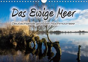 Das Ewige Meer (Wandkalender 2019 DIN A4 quer) von Dreegmeyer,  Hardy