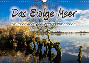 Das Ewige Meer (Wandkalender 2023 DIN A3 quer) von Dreegmeyer,  A.