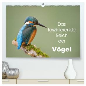 Das faszinierende Reich der Vögel (hochwertiger Premium Wandkalender 2024 DIN A2 quer), Kunstdruck in Hochglanz von Schörkhuber,  Johann