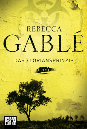 Das Floriansprinzip von Gablé,  Rebecca