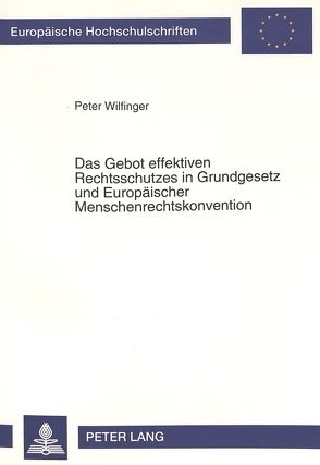 Das Gebot effektiven Rechtsschutzes in Grundgesetz und Europäischer Menschenrechtskonvention von Wilfinger,  Peter