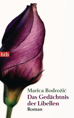 Das Gedächtnis der Libellen von Bodrožić,  Marica