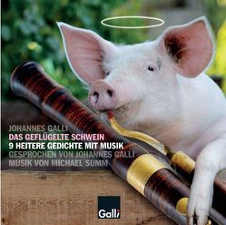 Das geflügelte Schwein von Galli,  Johannes, Summ,  Michael