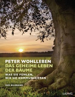 Das geheime Leben der Bäume von Wohlleben,  Peter