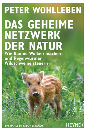 Das geheime Netzwerk der Natur von Wohlleben,  Peter