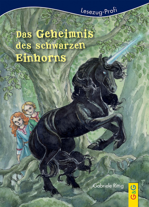 LESEZUG/Profi: Das Geheimnis des schwarzen Einhorns von Eissmann,  Anke Katrin, Rittig,  Gabriele