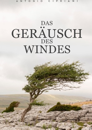 Das Geräusch des Windes von Cipriani,  Antonio