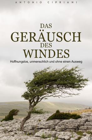 Das Geräusch des Windes von Cipriani,  Antonio