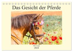 Das Gesicht der Pferde (Tischkalender 2024 DIN A5 quer), CALVENDO Monatskalender von Laage,  Elke