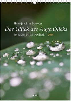 Das Glück des Augenblicks 2016 – Wandkalender von Eckstein,  Hans-Joachim, Pawlitzki,  Micha