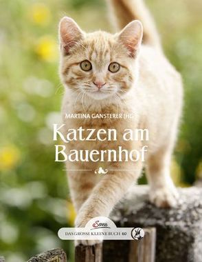 Das große kleine Buch: Katzen am Bauernhof von Gansterer,  Martina