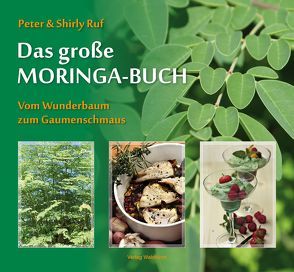 Das große Moringa-Buch von Ruf,  Peter, Ruf,  Shirly