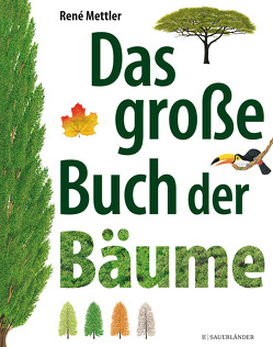 Das große Buch der Bäume von Mettler,  René, Panzacchi,  Cornelia