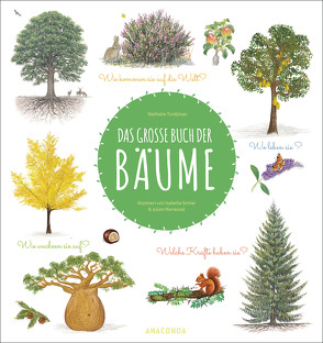 Das große Buch der Bäume von Norwood,  Julien, Simler,  Isabelle, Tordjman,  Nathalie