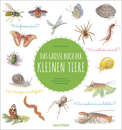 Das große Buch der kleinen Tiere von Norwood,  Julien, Tchoukriel,  Emmanuelle, Tordjman,  Nathalie