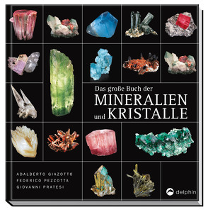 Das große Buch der Mineralien und Kristalle von Giazotta,  Adalberto, Pezzotta,  Federico, Pratesi,  Giovanni