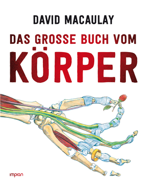 Das große Buch vom Körper von Hensel,  Wolfgang, Macaulay,  David, Walker,  Richard