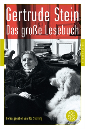 Das große Lesebuch von Beyer,  Marcel, Jandl,  Ernst, Köhler,  Barbara, Pastior,  Oskar, Stein,  Gertrude, Stolterfoht,  Ulf, Strätling,  Uda