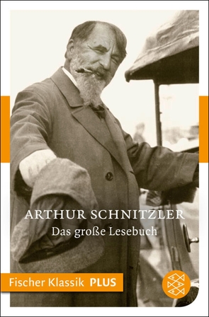 Das große Lesebuch von Michel,  Sascha, Schnitzler,  Arthur