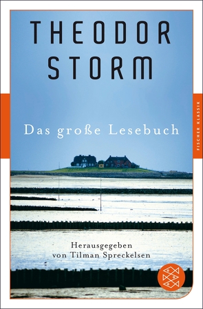 Das große Lesebuch von Spreckelsen,  Tilman, Storm,  Theodor