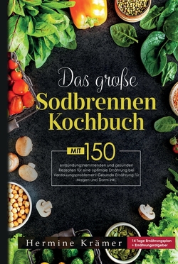 Das große Sodbrennen Kochbuch! Inklusive 14 Tage Ernährungsplan und Nährwerteangaben! 1. Auflage von Krämer,  Hermine