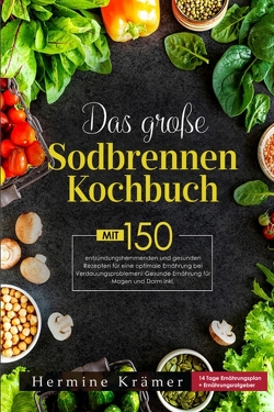 Das große Sodbrennen Kochbuch! Inklusive 14 Tage Ernährungsplan und Nährwerteangaben! 1. Auflage von Krämer,  Hermine