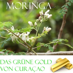 Das grüne Gold von Curacao von Verheugen,  Elke