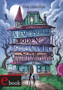 Das Haus, in dem es schräge Böden, sprechende Tiere und Wachstumspulver gibt von Llewellyn,  Tom, Meinzold,  Maximilian, Sparrer,  Petra