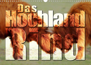 Das Hochlandrind (Wandkalender 2023 DIN A3 quer) von Zabel,  Birte