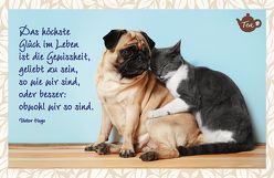 Das höchste Glück im Leben ist die Gewissheit, geliebt zu sein so wie wir sind, oder besser: obwohl wir so sind. Victor Hugo von Engeln,  Reinhard