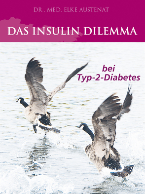 Das Insulin Dilemma