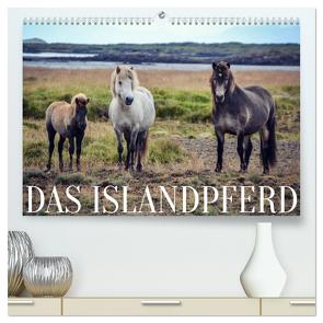 Das Islandpferd (hochwertiger Premium Wandkalender 2024 DIN A2 quer), Kunstdruck in Hochglanz von Krämer,  Hannah