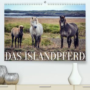 Das Islandpferd (Premium, hochwertiger DIN A2 Wandkalender 2022, Kunstdruck in Hochglanz) von Krämer,  Hannah