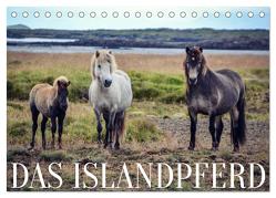 Das Islandpferd (Tischkalender 2024 DIN A5 quer), CALVENDO Monatskalender von Krämer,  Hannah