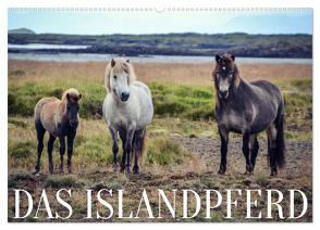 Das Islandpferd (Wandkalender 2024 DIN A2 quer), CALVENDO Monatskalender von Krämer,  Hannah