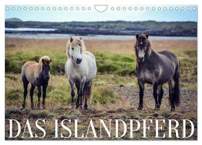 Das Islandpferd (Wandkalender 2024 DIN A4 quer), CALVENDO Monatskalender von Krämer,  Hannah