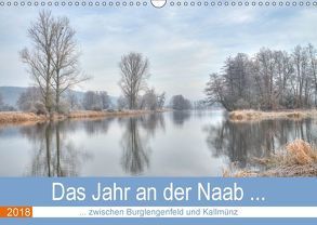 Das Jahr an der Naab zwischen Burglengenfeld und Kallmünz (Wandkalender 2018 DIN A3 quer) von Rinner,  Rudolf